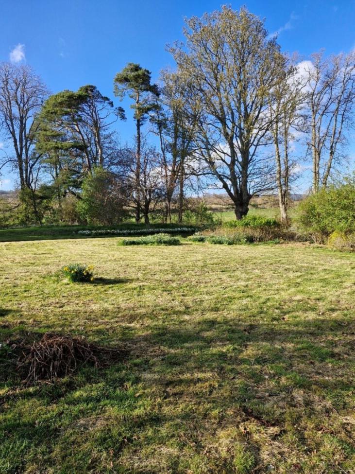 The Bungalow - Ardullie Lodge Dingwall Exteriör bild